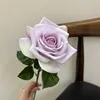 Single stem corolla rose - purple green