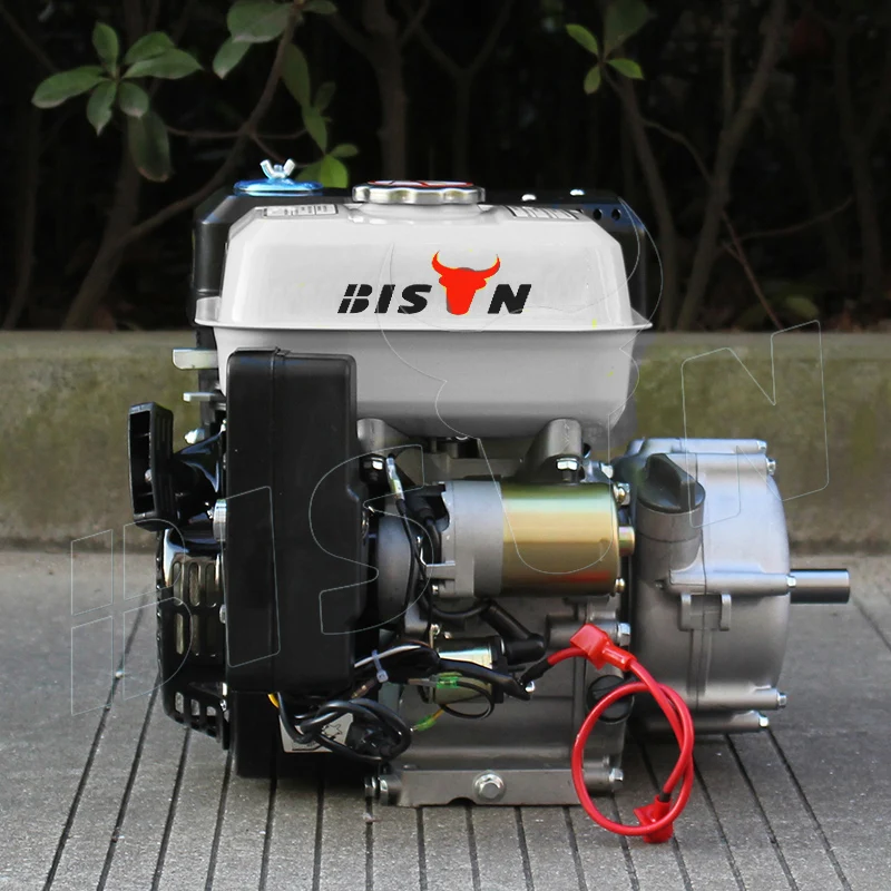 BISON Small China 168f 1 6.5hp Gasoline Engine with Clutch