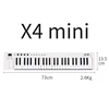X4ขนาดเล็ก
