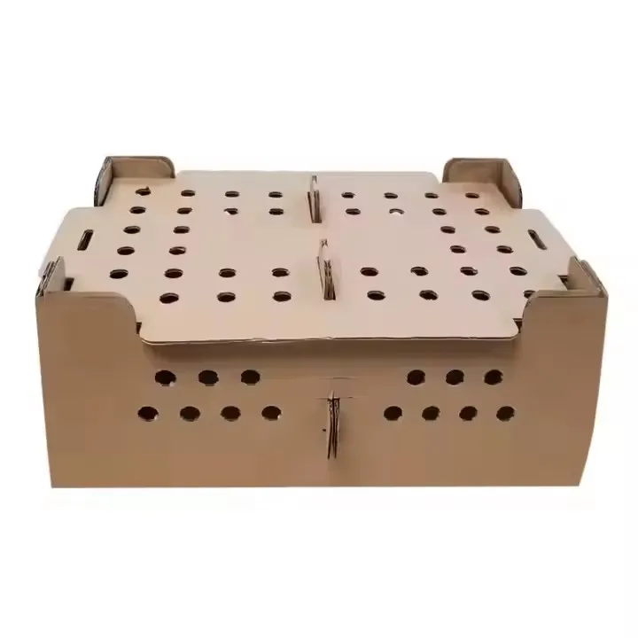 Custom Sturdy Cardboard Shipping Poultry Carton Packing Box 25 50 100pcs Live Baby Chick Birds Box
