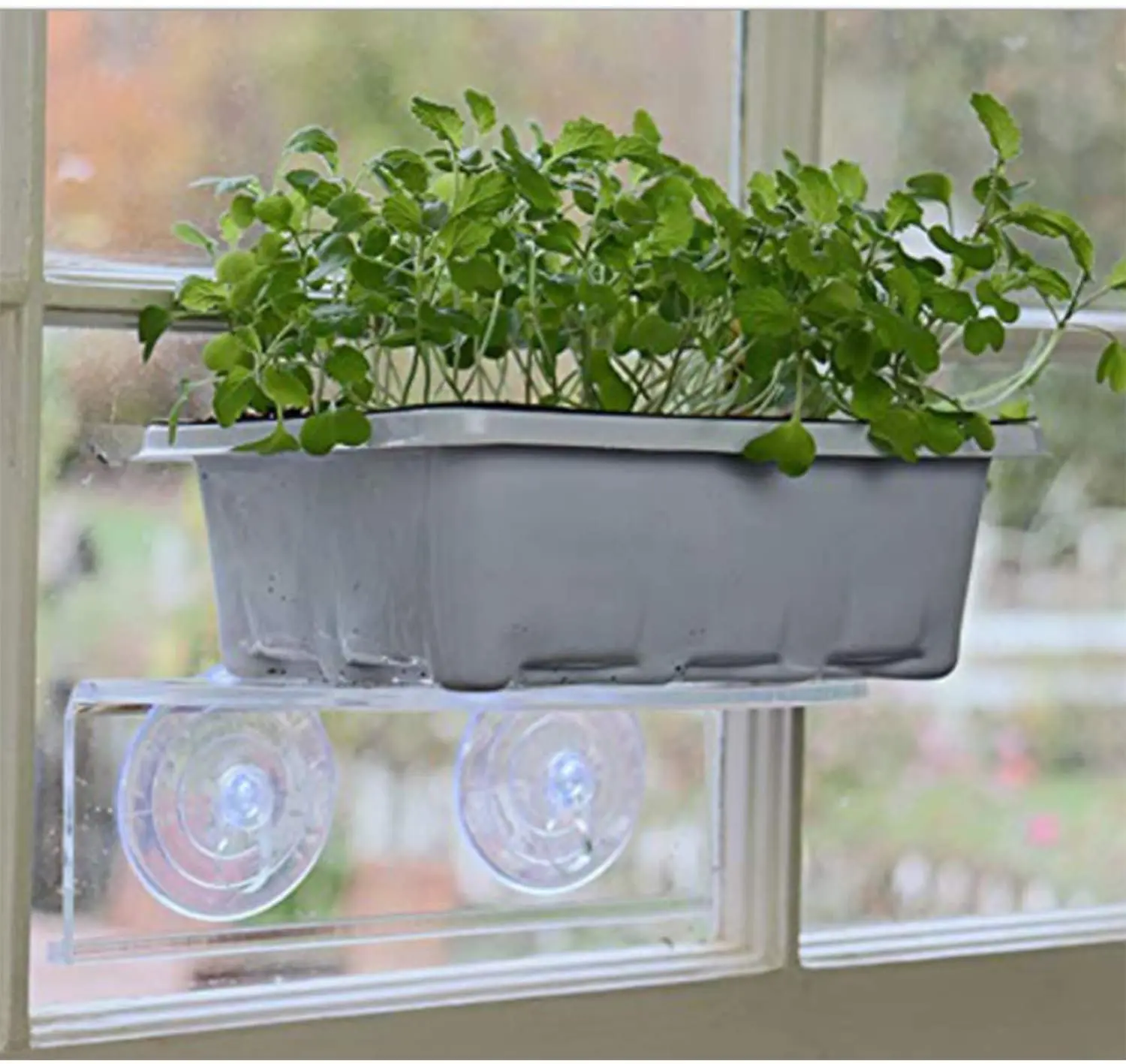 Window Garden + Double Veg Ledge Suction Cup Window Shelf