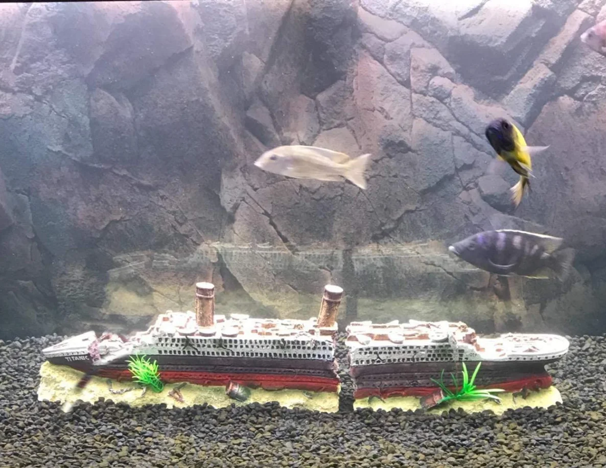 大型水槽 タイタニック号沈没船装飾 樹脂製 船の装飾 魚タンク 沈没船