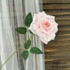 Pink 1