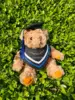Orso medico con abito da dottore marrone chiaro e blu