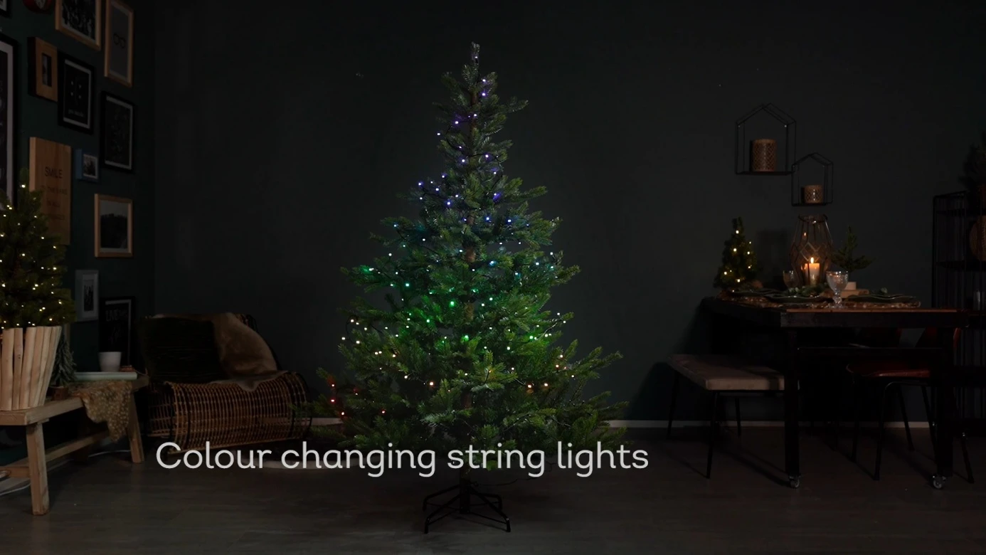 Led Appcontrolled Dancing Lights Wifi Color Changing Effects Outdoor