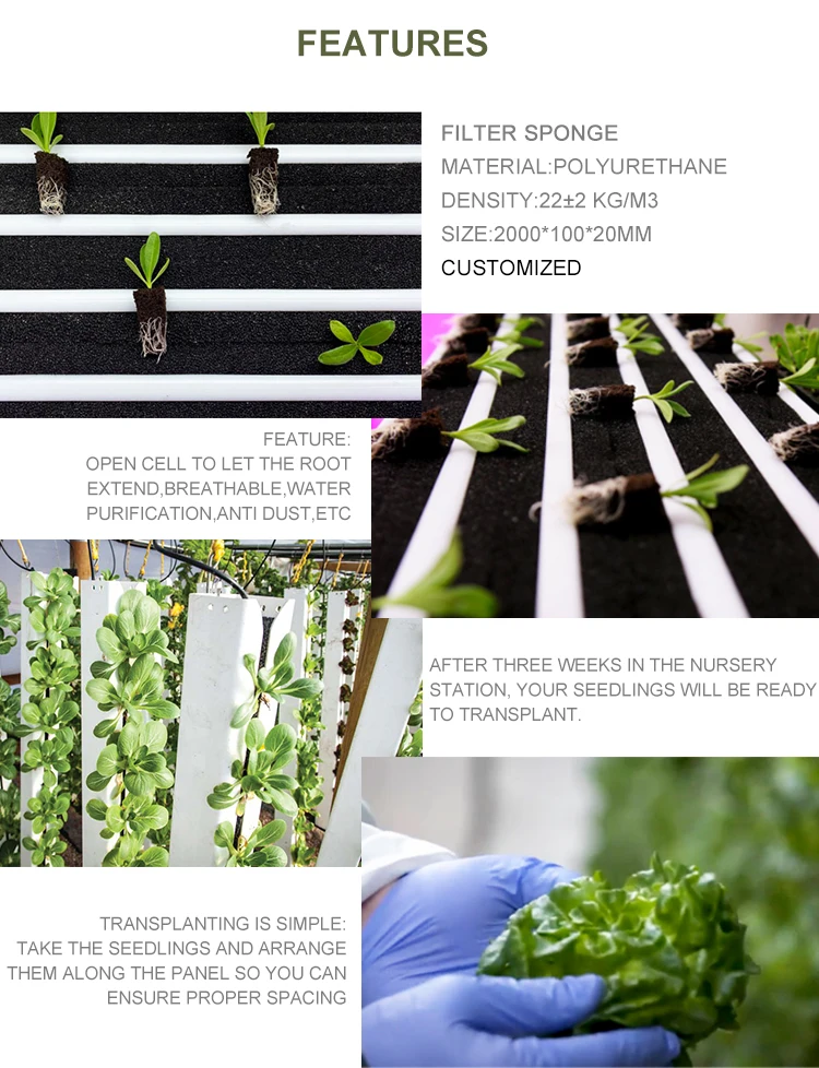 Open Cell Sponge Air Plant Reticulated Foam Hydroponic Vertical Growing