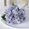 Lavanda