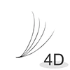 4D