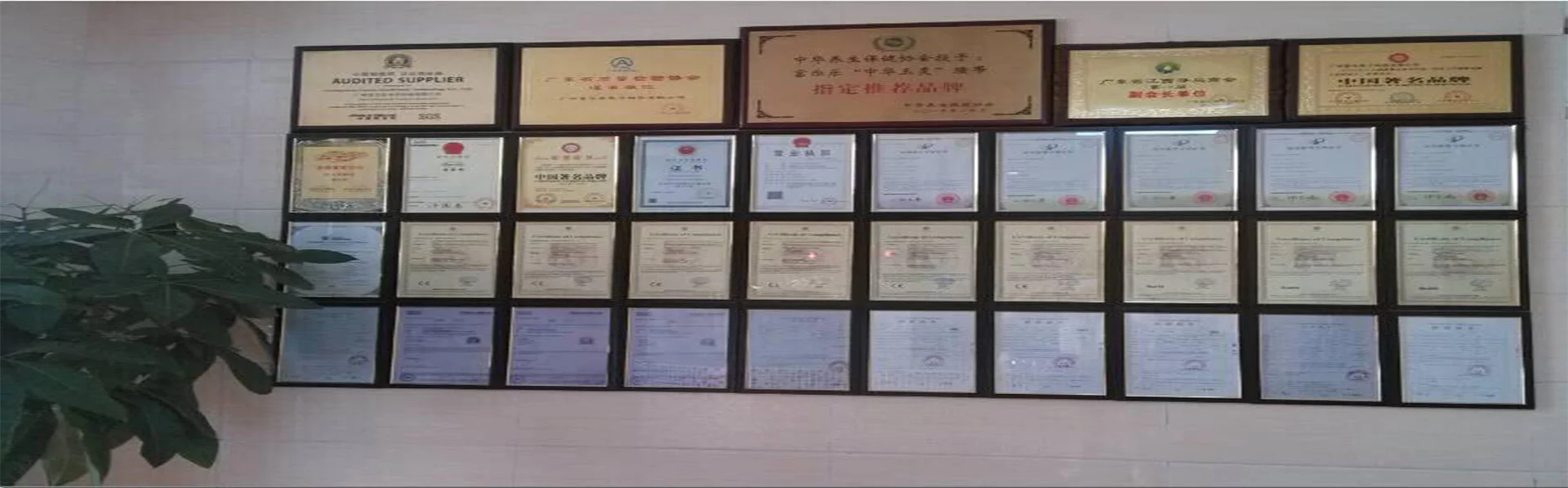 Shenzhen Meijing Industry Company Limited 2