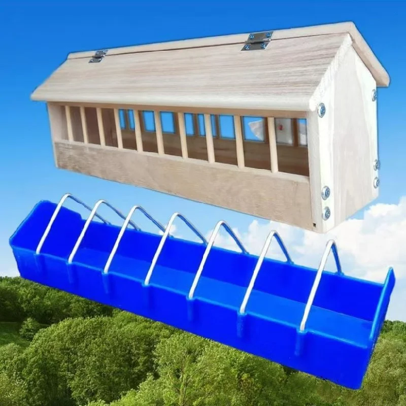 Racing Homing Pigeon Food Box Durable Stainless Steel Thick Plastic Made with Silicone Sturdy Platane Wood Bird Pigeon Feeder