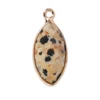 Daimatian Jasper