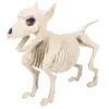 White-Dog