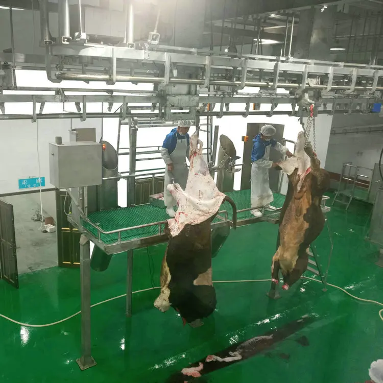 100 head per day modern cow abattoir plant cattle slaughterhouse equipment