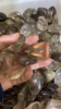 smoky quartz