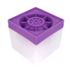 Pourpre