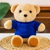 Blue T-shirt Rice Bear Style