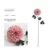 Rose foncé
