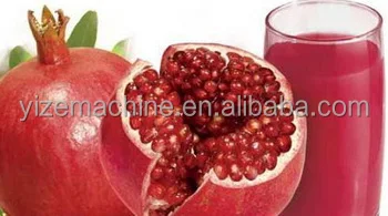 Cast Iron Citrus Pomegranate Hand Press Juicer Machine