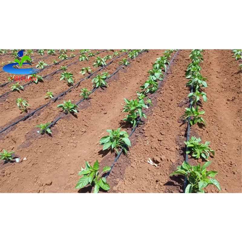 Farm Dripline Drip Tape for Agricultural Irrigation System 16mm Drip Hose