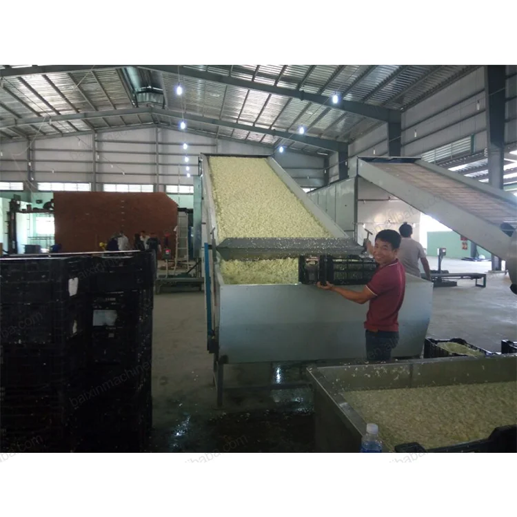 Ginger Washing and Drying Machine Drying Machine Oven Turmeric Ginger Dryer