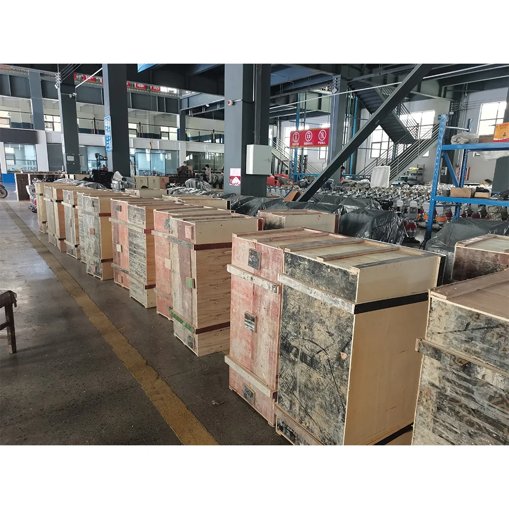 Заводской 5 л.с. 6 7 с бензиновым двигателем