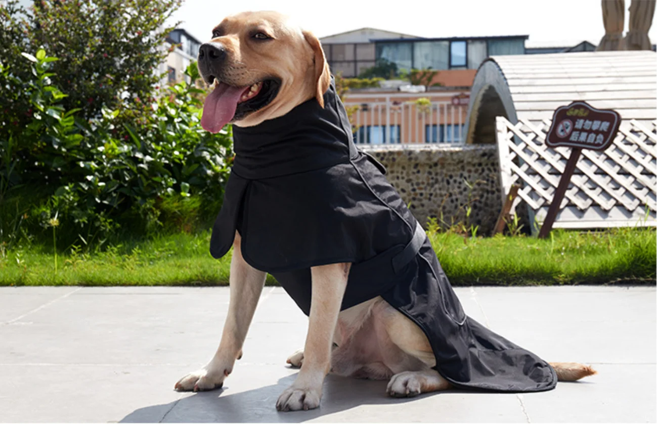 Wonderful Outdoor Pet Clothes For Big Dogs High Collar Double Layer Waterproof And Snowproof