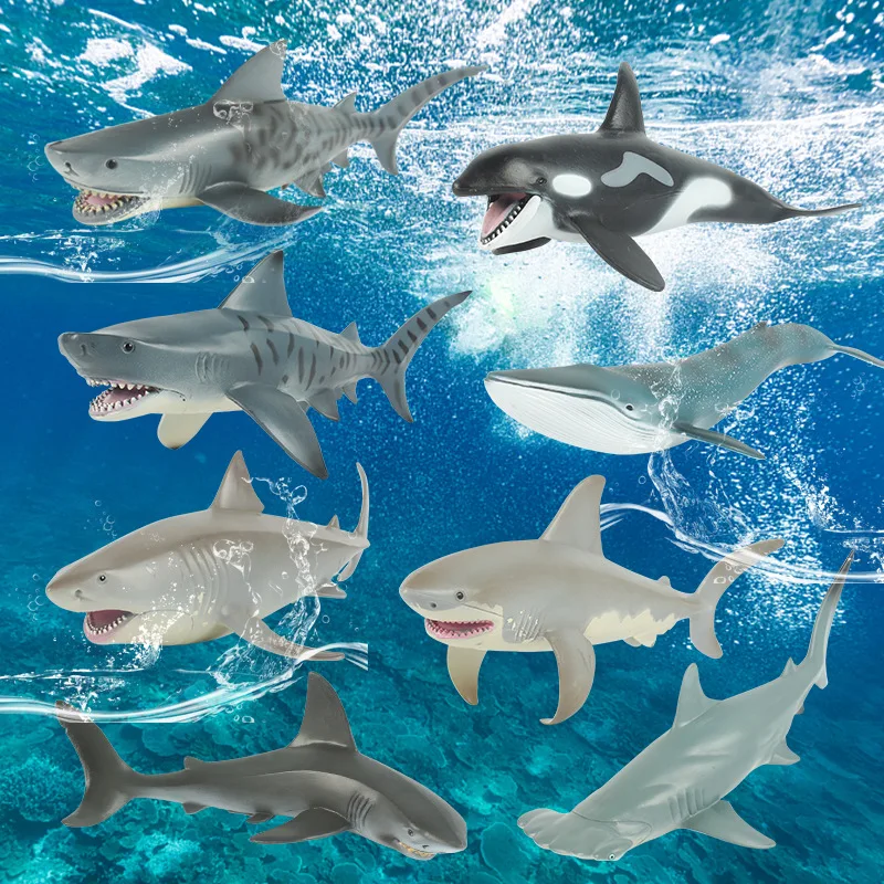 Zhiqu 1/12 Scale Megalodon Shark Model Solid Plastic Boy Simulation Marine  Creature Undersea World Featuring Great White Whale