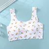 Little pineapple