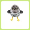 Gray Fluttery Little Plump Choo-Choo - Cuckoo
