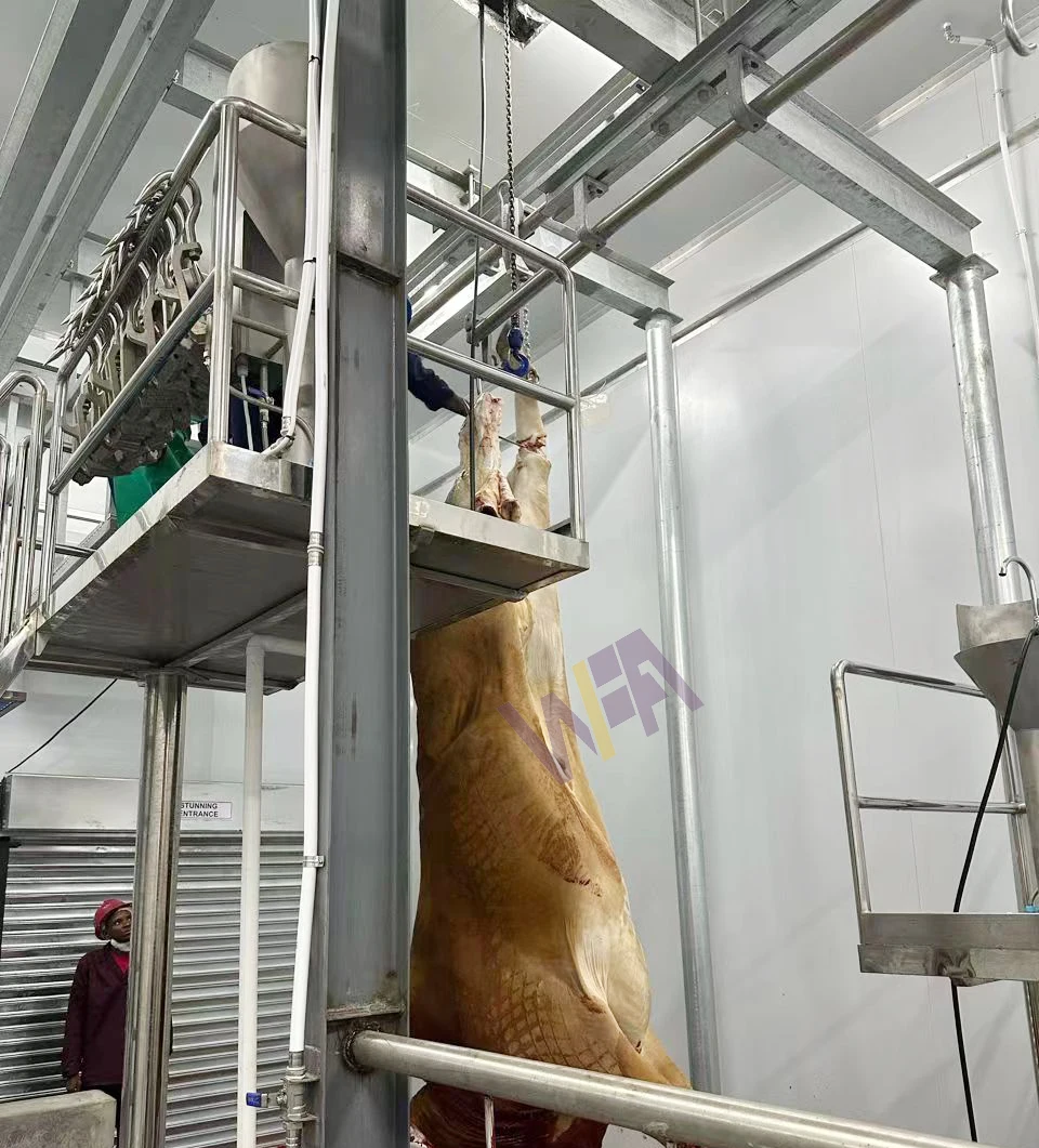 Turnkey Project Cattle Abattoir Slaughtering Equipment Beef Processing ...