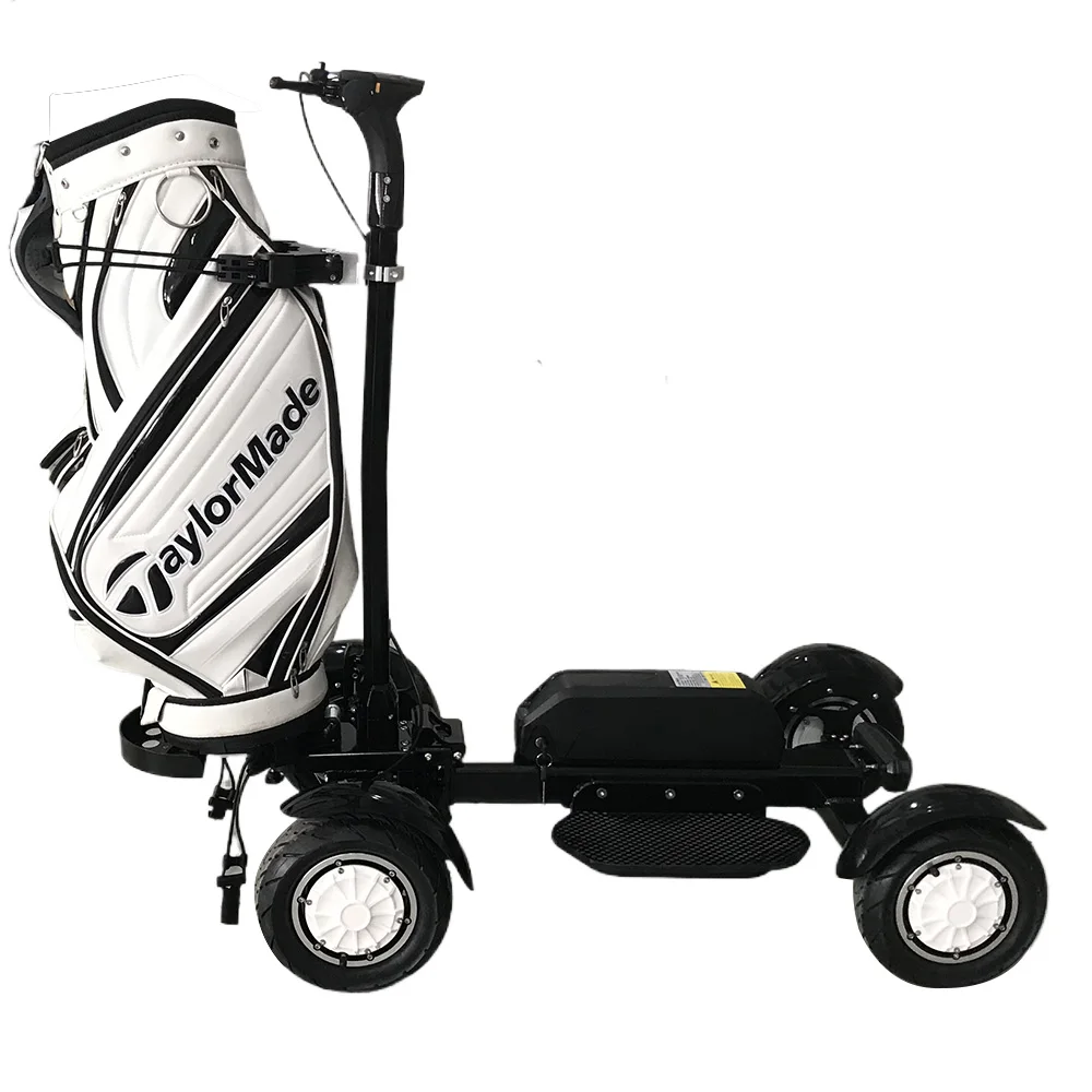 ESWING Single Seat Electric Golf Cart 48V Motorized Golf Carts Can Be  Quickly Assembled Wheel Cart Golf Electric