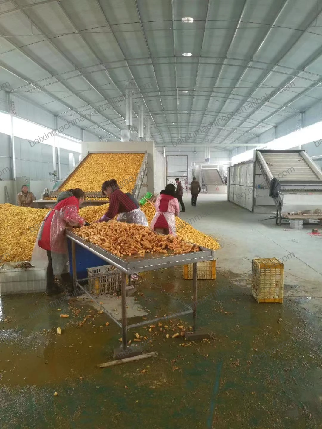 Garlic and Ginger Onion Dryer Machine Carrot Drying Equipment