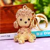 Champagne