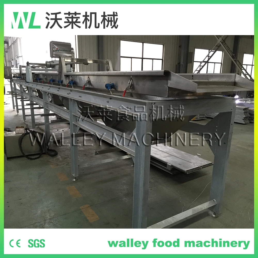 Hot Sale Automatic Dates Sorting Vibration Size Grader Vibrative