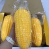 Grano di mais