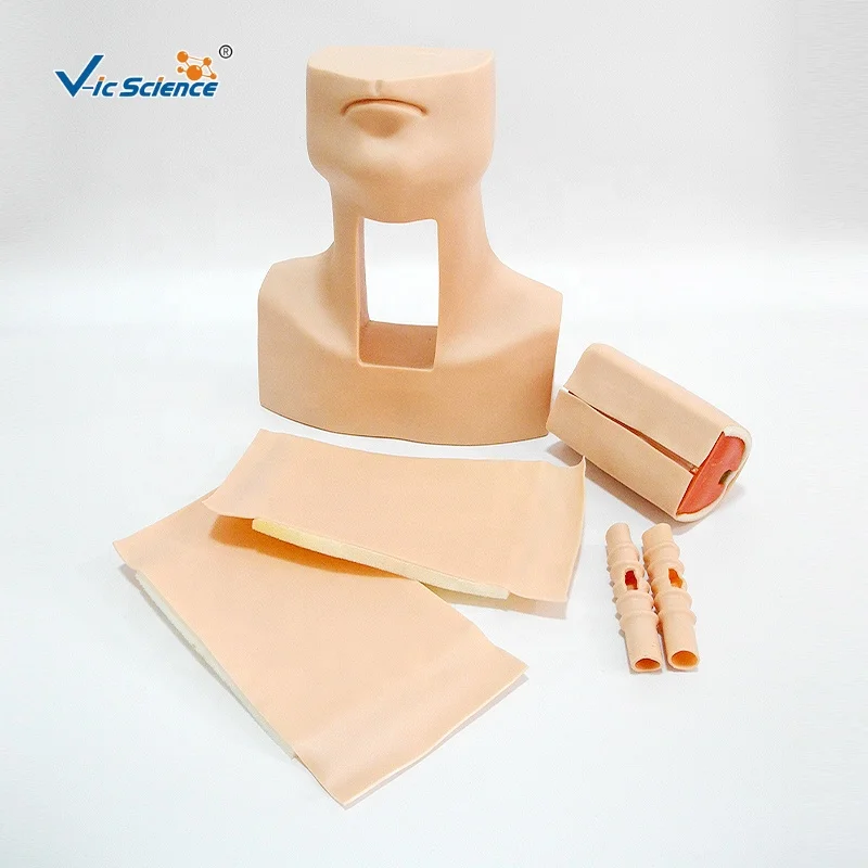 Nursing Manikin Tracheostomy Simulator Model Medical Nursing Skills Training Training Manikin