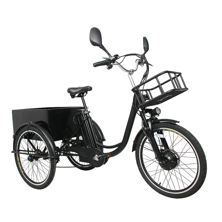 Cargo Bike Elettrica Bicicletta A Tre Ruote Adulti Bicicletta