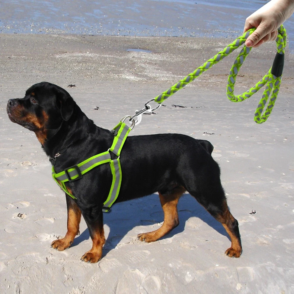 Good Quality Durable Reflective Nylon Pet Dog Collar With Harness And Leash Set supplier