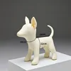 White JW Chihuahua