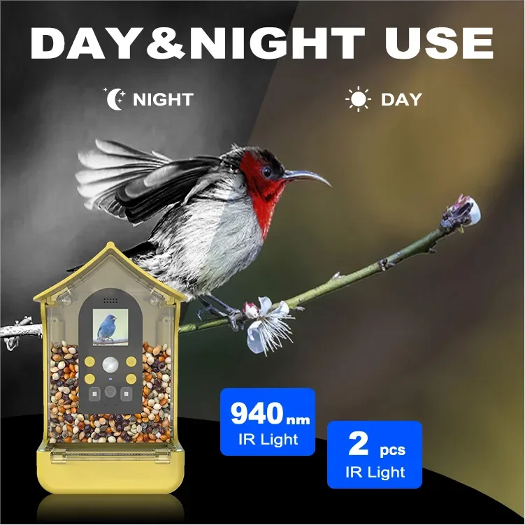 Latest Wholesale Smart Bird Feeder Camera Wbf50 1080p Bird Watching