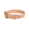 collar pink