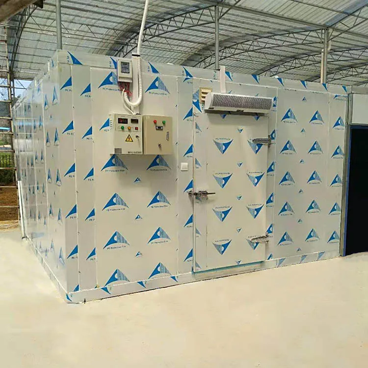 Medium Small Large Size Cold Storage Room Freezer Cool Room Freezing Refrigeration Equipment for Fish Food Meat