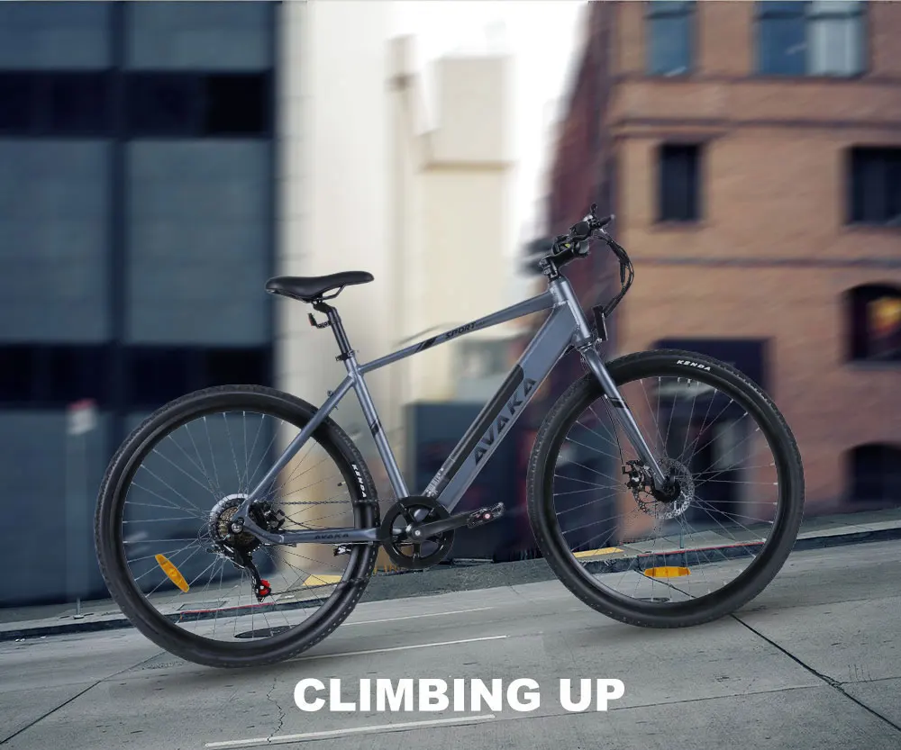 Avaka R3 Off Road Electric Bicycle Brushless 350w Motor Ebike Long