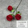 Rosa principessa a tre teste