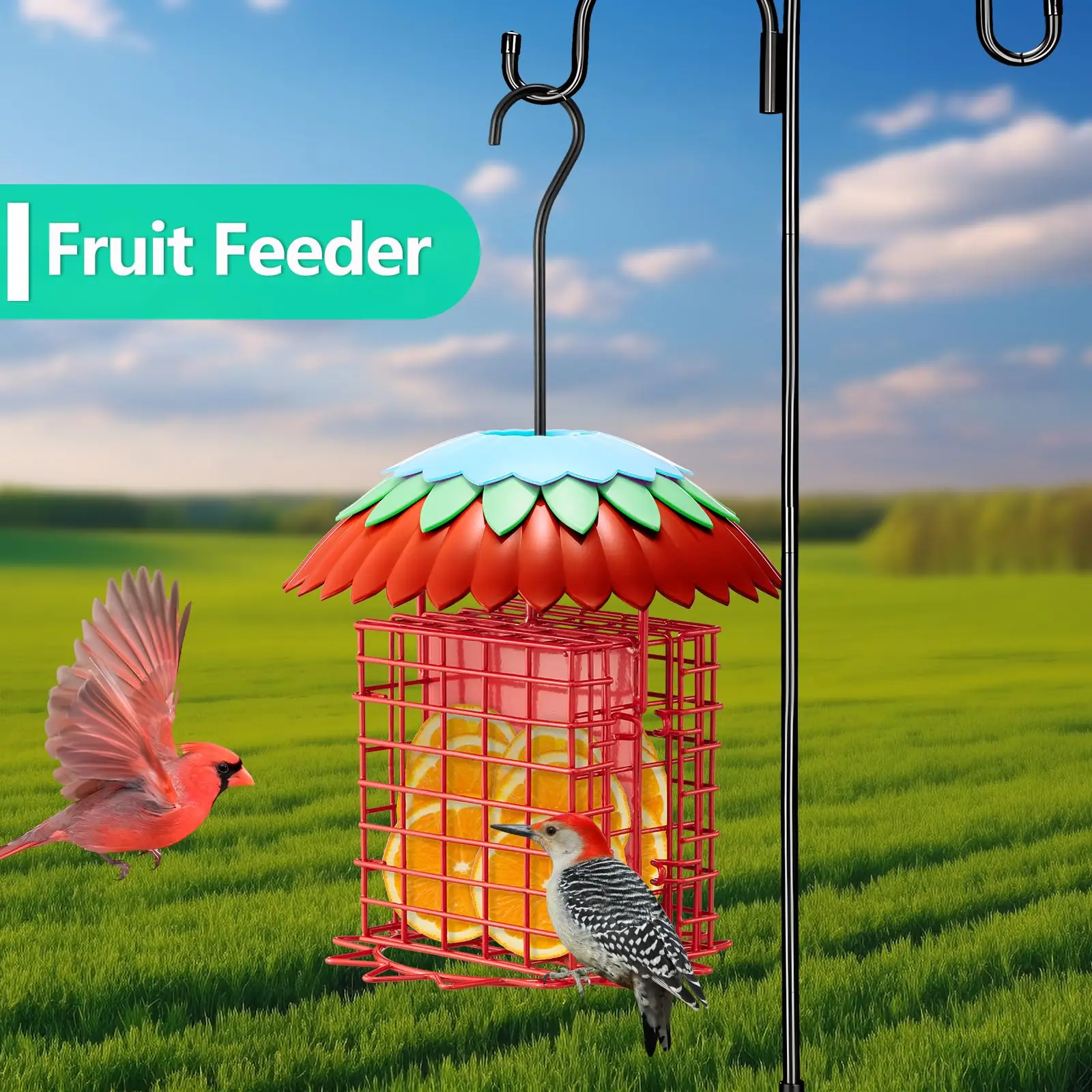 Double Suet Feeder Detachable Cleaning Feature Plastic Weatherproof ...