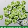 Branche de fleur de Koi verte