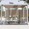 Transparent