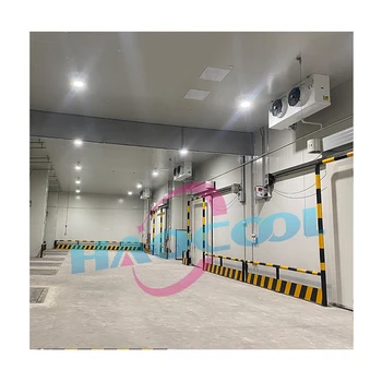 3000ton Cold Room Freezer Competitive Price Copeland Compressor 380v Motor Gearbox Solar Features Core Bearing Panel Engine