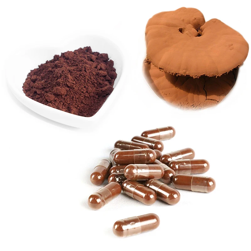 Organic Lingzhi Extract Ganoderma Lucidum Spore Powder Reishi Capsule