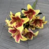 Yellow Red